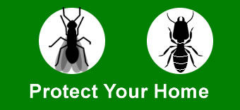 Home Termite Protection