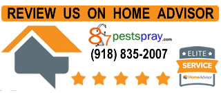 Home Advisor 87pestspray