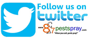 Twitter 87pestspray