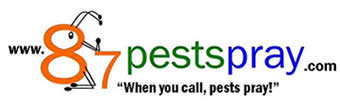 87PestSpray Termite