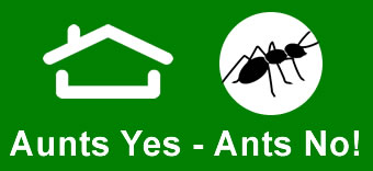 Pest Control Services