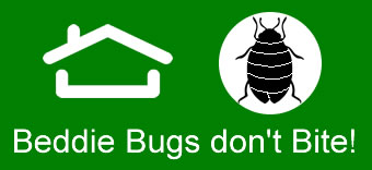 Bedbug Treatment