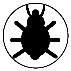 Bed Bug Spraying