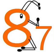 87pestspray & Termite