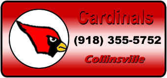 Pest Spraying Company