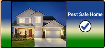 Quarterly Pest Spray