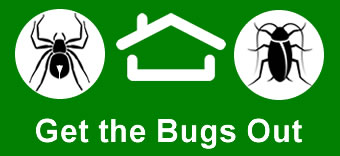 Cockroach Exterminator