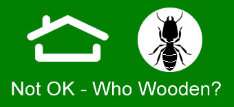 Complete Termite