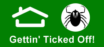 Bedbug Exterminator